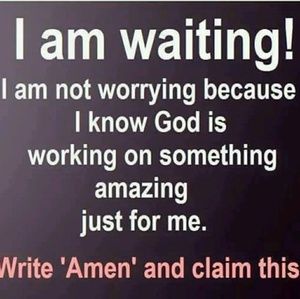 Meet your Posher, Dwight